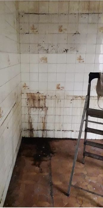 Servicii de curatenie