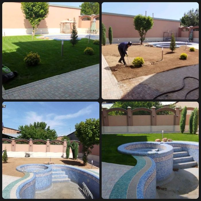 Газон посадка газон экамиз