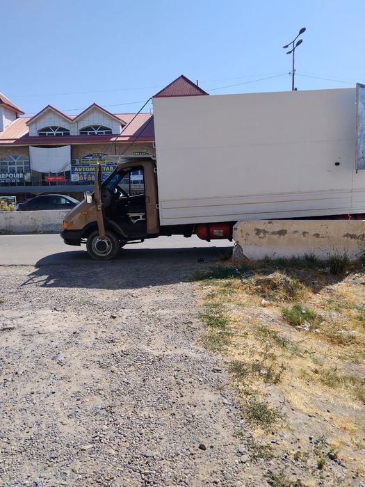 Газел сирочни Сотилади