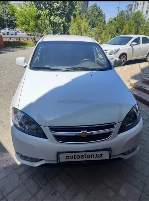 Jentra xolati alo kraskasi bor