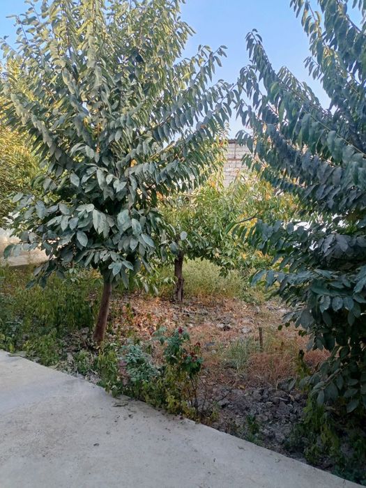 Продаётся жилой дом!