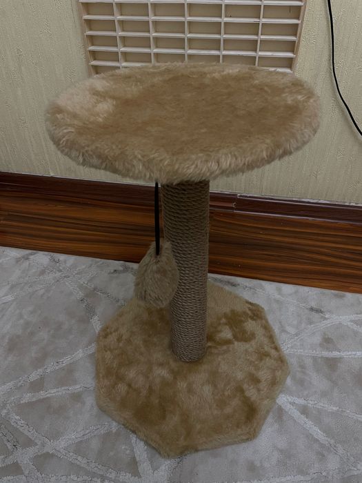 Когтеточка для котят