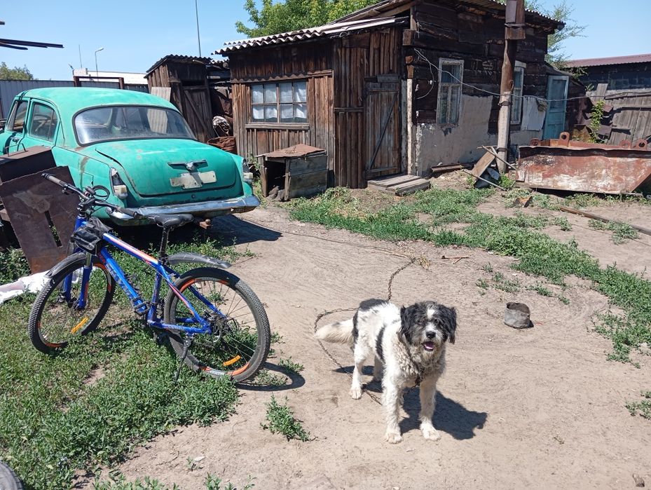 Продам дом барачного типа.