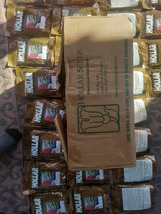 Тарвуз уруг сотилади HOLLAR