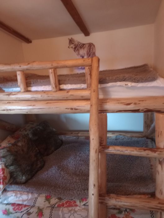 Cabană la munte Bran