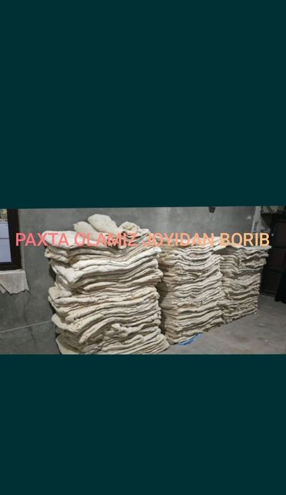 Paxta olish qayta ishlash xizmati