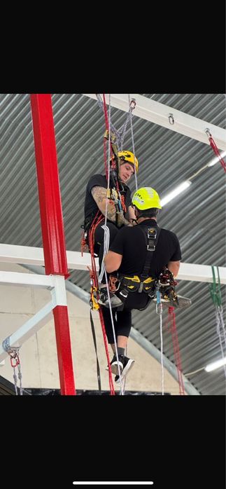 Услуги альпиниста