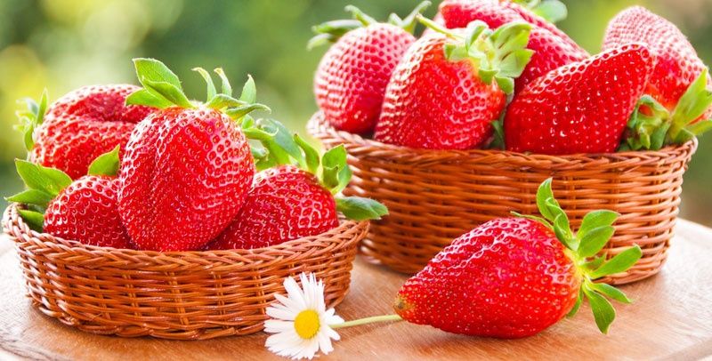 Продавам расад ягоди и малини само които цени българскот