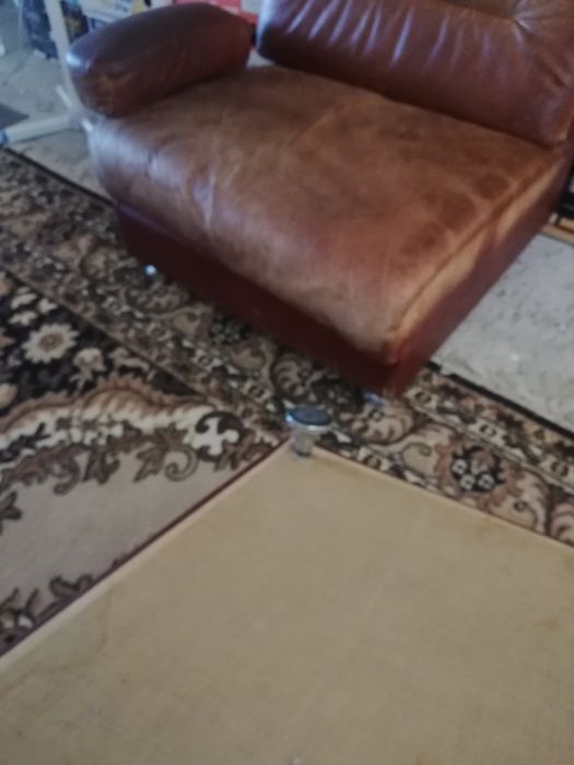 Fotolii de piele naturala