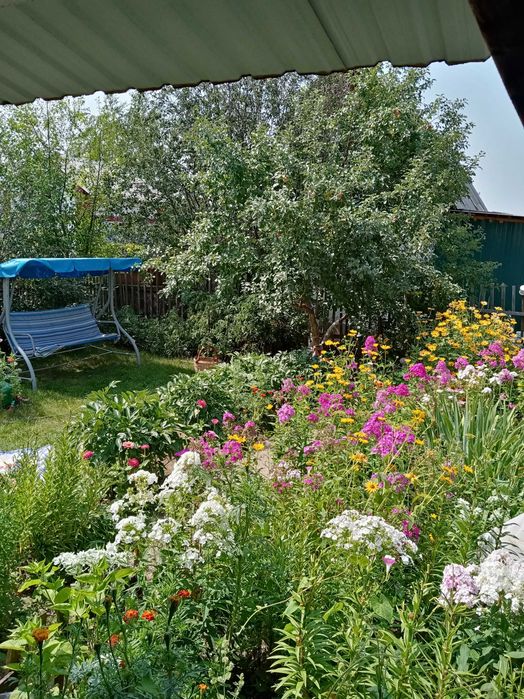 Продам дачу за п. Куленовка