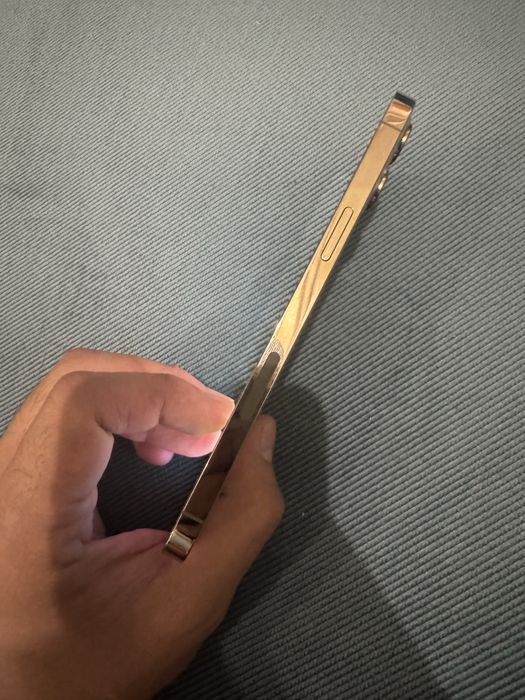 Iphone 12 Pro Max 256