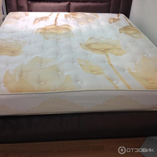 химчистка ковров и мебели OOO "Diamond clean"