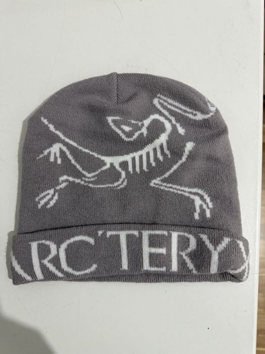 Шапка Arteryx серая