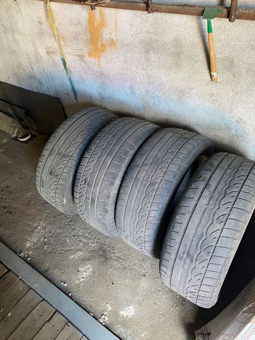 Шины летние данлоп