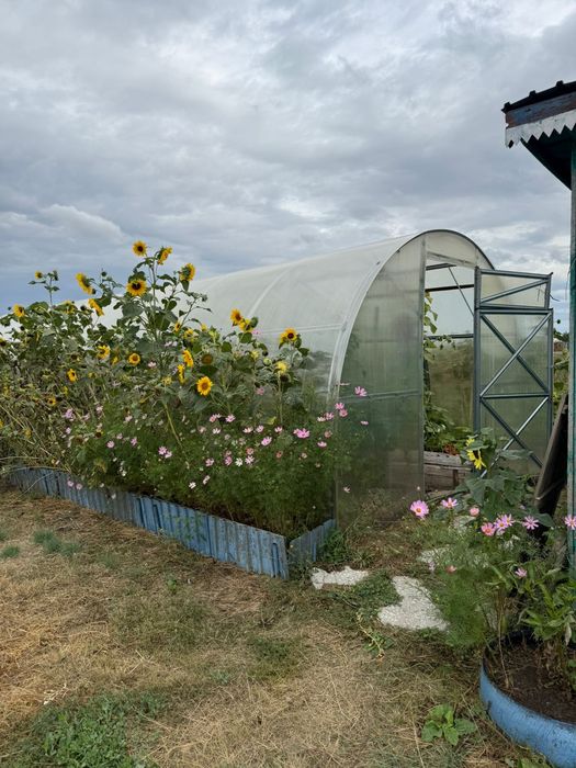 Продам дом с большим участком