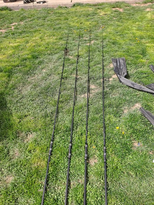 Bete pescuit Crap noi