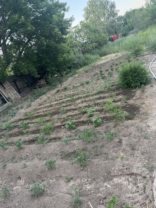 Продам дача на Баме