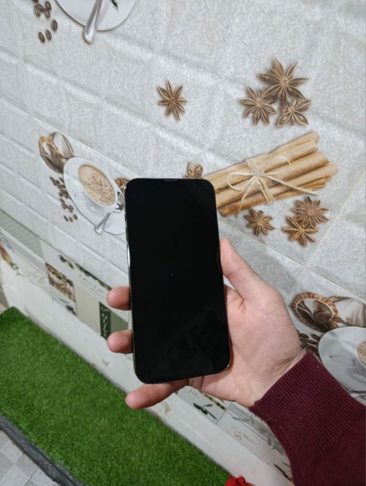 Iphone 13 pro max 256gb