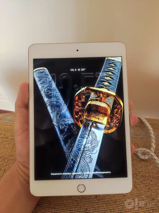 ipad mini 5 LL/A