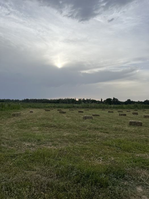 800 штук сатылады село казакстан