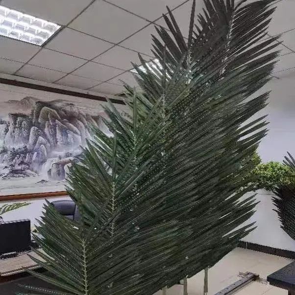Palma barglari Палмовый листя