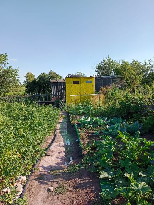 Срочно продам дачу в Ягодке