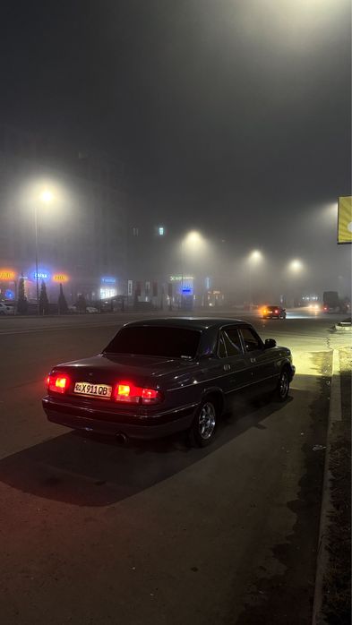 Волга Газ 3110 Динго 406 Змз Плитка Инжектор