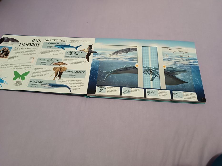 Енциклопедия за животни