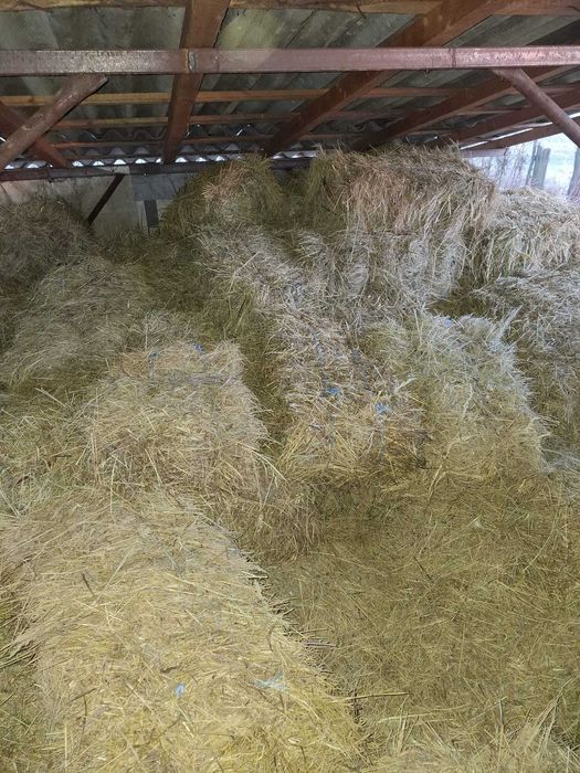 Vând baloti de lucerna si iarbă!