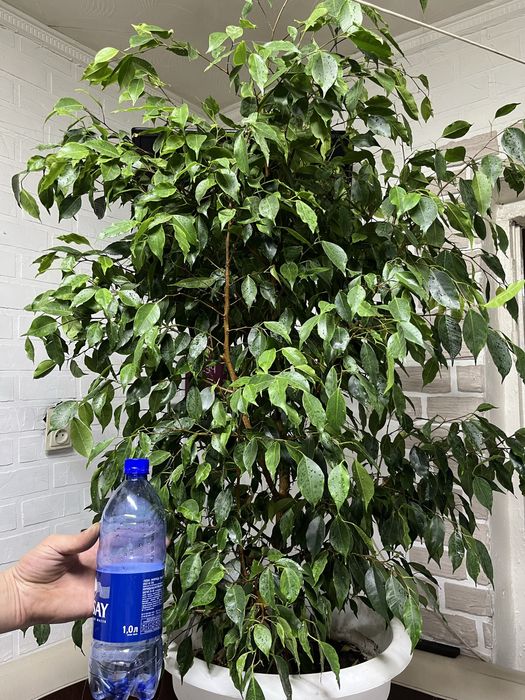 Срочно продам!!!