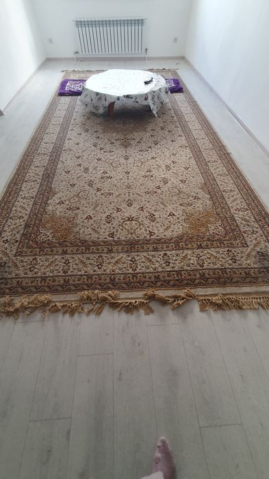 Ковры 5.5/2.5+ 2/3