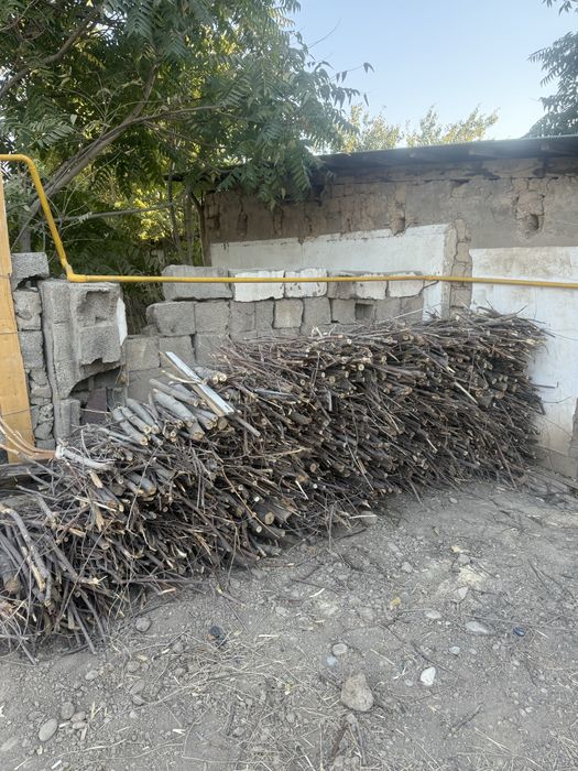 Отын дрова барлығы 10000