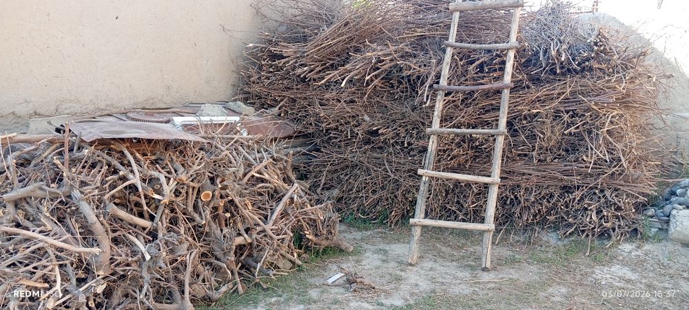 Oʻtin sotiladi Samarqand viloyati Pastdargʻom tumani