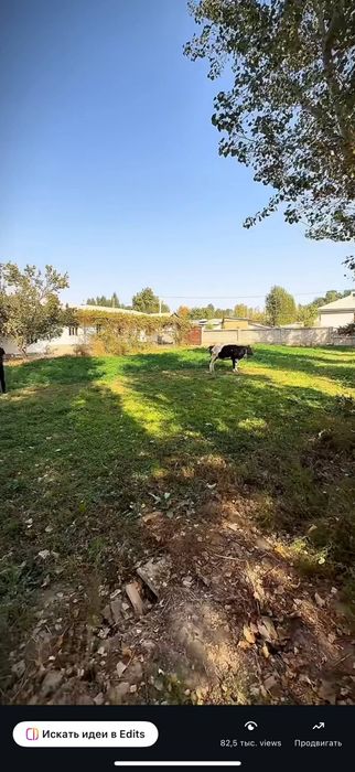 16 sotix yer srochna