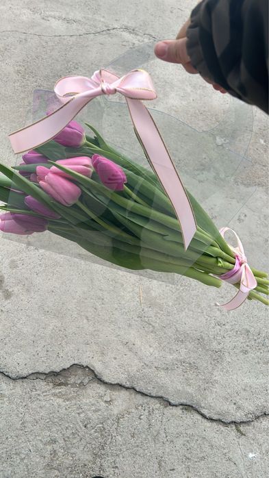 Тюльпаны голландские