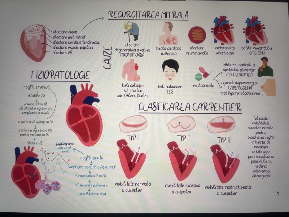 Planse PDF Logia Rezidentiat
