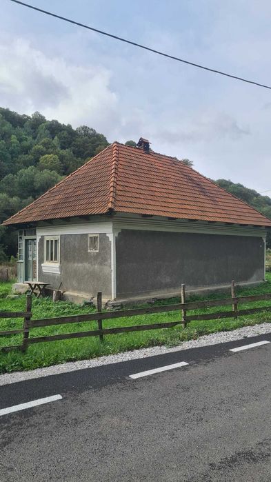 Vand proprietate pe Transapuseana