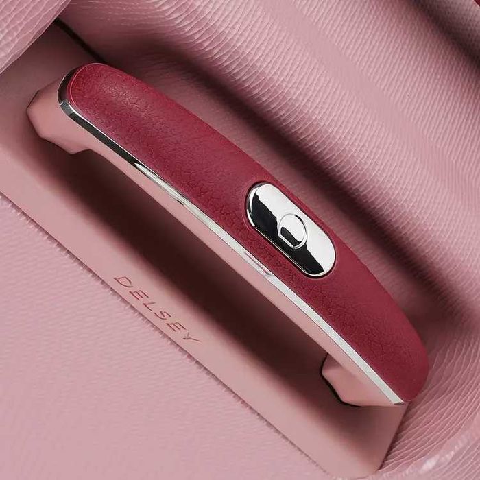 Куфар Delsy Paris