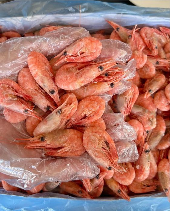 Доставка раков,живые раки,камчатский краб,креветки