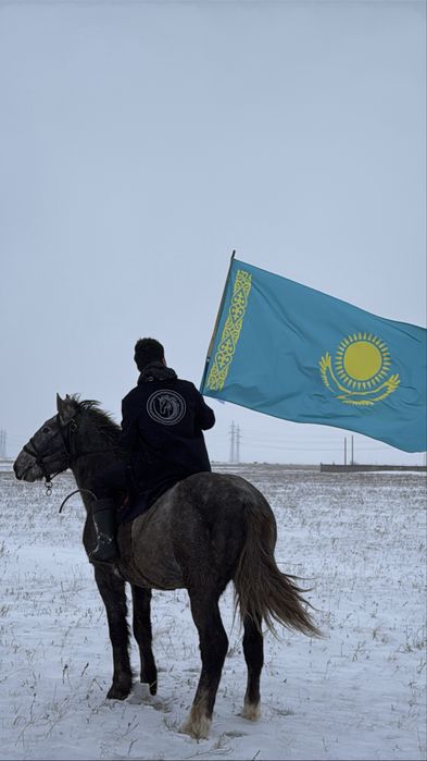 2,5 жасар құнан(дөненге шығад)