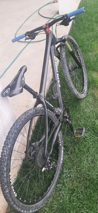 Mtb carbon , roti 29, custom