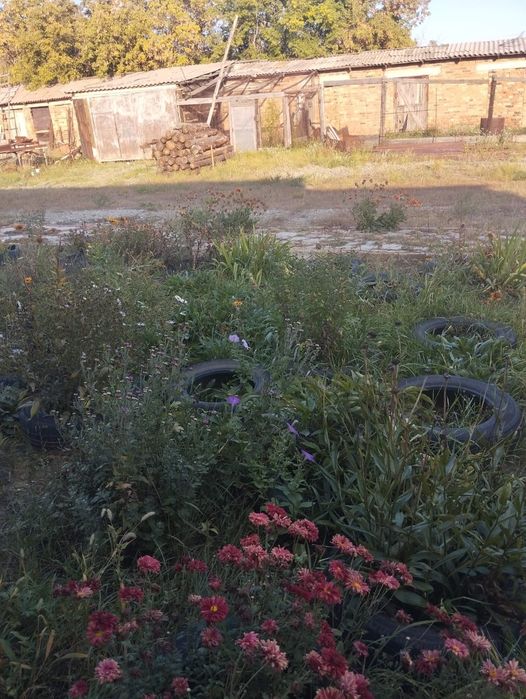 продам дом на земле 147 кв. м