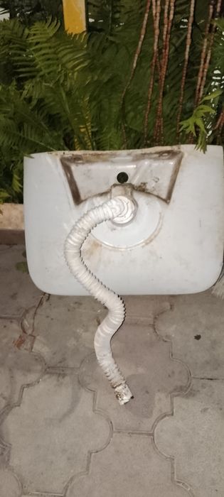 Раковина продам целая