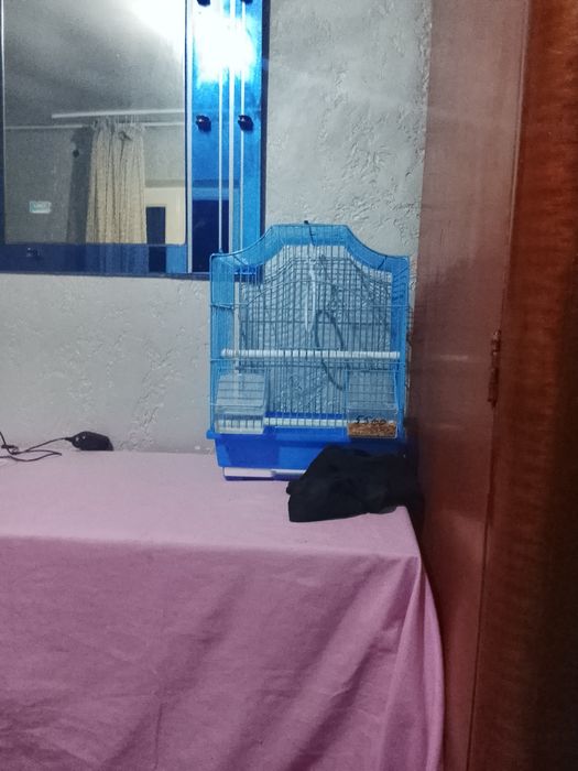 Продам клетку для попугаев за 5000