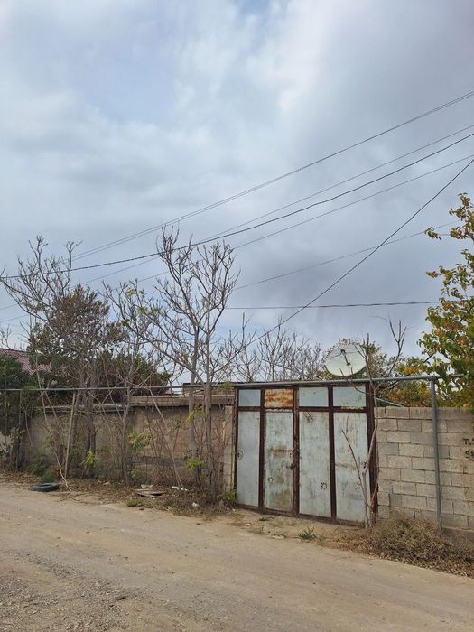 Зарафшон ОАЗИСда ховли