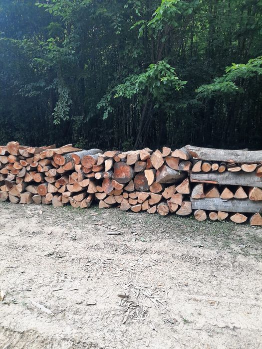 Vând lemn de foc fag asigur transport