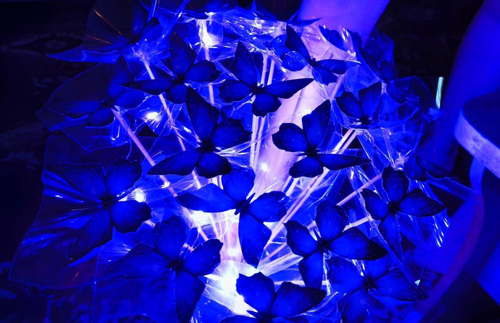 Цветы бабочки/сердечки