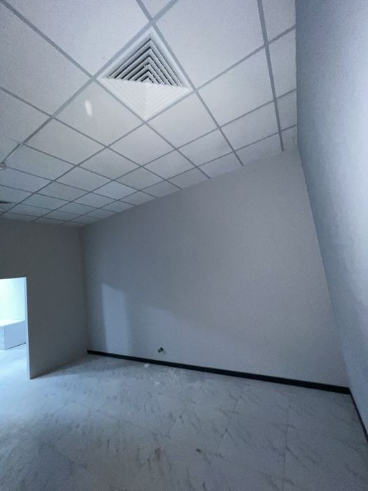 Офис около метро Пушкина 120 квм