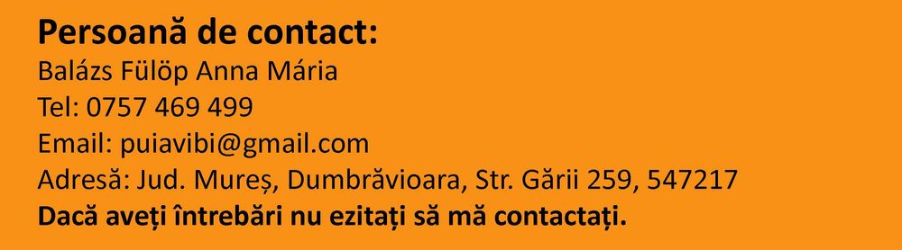 Pui de carne 16 zile - 500 gr - livrare en-gros din fermă săptămânal