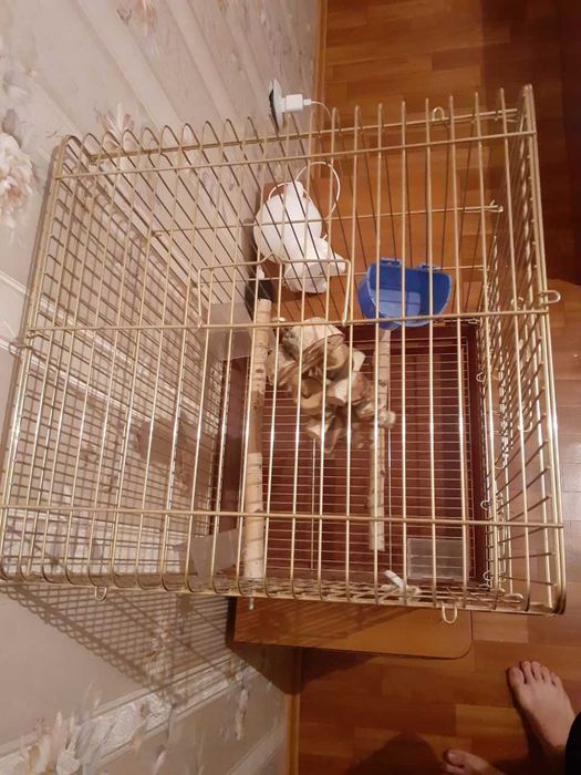 Клетка  для птиц, домашних питомцев